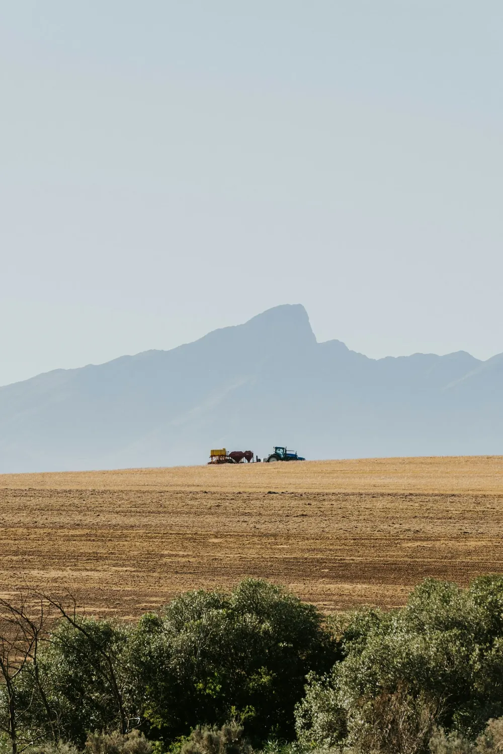 An African agricultural landscape with cultivated fields and distant hills